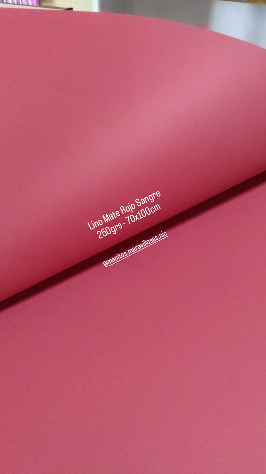 CARTULINA LINO MATE 70X100CM - 250GRS